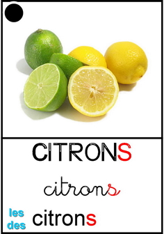 Citron - végétaux.jpg