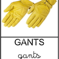 Gants 