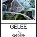 Gelée - météo