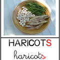 Haricots