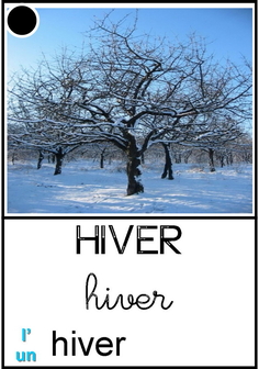Hiver - saisons.jpg