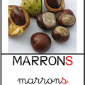 Marrons 