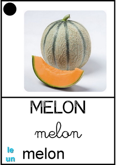 Melon - végétaux.jpg