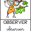 Observer 