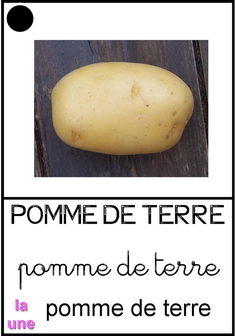 Pomme_de_terre2 - végétaux.jpg
