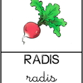 Radis 