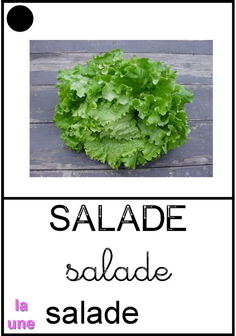 Salade - végétaux.jpg