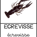 Écrevisse