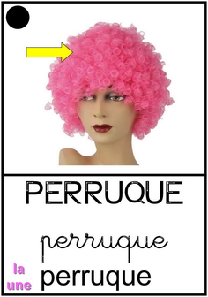 perruque.jpg