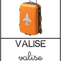 Valise