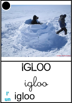 igloo2.jpg
