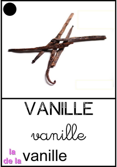 vanille.jpg