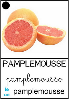 Pamplemousse.jpg