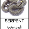 Serpent