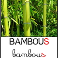 bambous