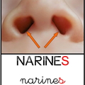 narines