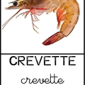 crevette