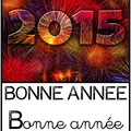 Bonne année 2015 - expression
