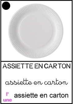 Assiette en carton.jpg