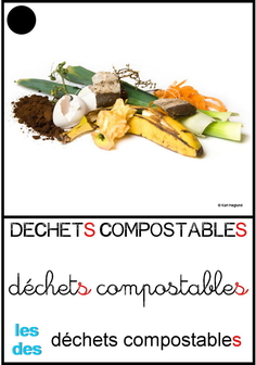 déchets compostables.jpg