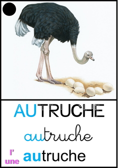 autruche - méthode CP piano.jpg