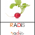 radis - méthode CP piano