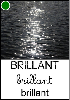 Brillant - texture.jpg