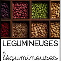 Légumineuses - légumes