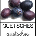 Quetsches - fruits