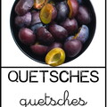 Quetsches2 - fruits
