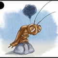 Cafard2 - insecte - sentiment - 4059