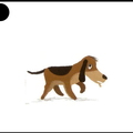 chien - 3648