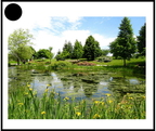 Etang - 2946 - (31 visits) Etang - 2946