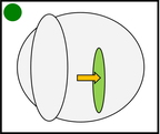 menu-adj - 3910