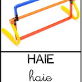 Haie2