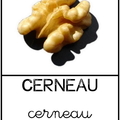 Cerneau - végétaux