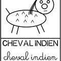 Cheval indien