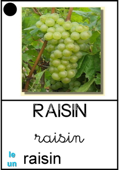 Raisin - végétaux.jpg