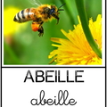 Abeille - animaux