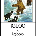 Igloo 
