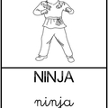 Ninja