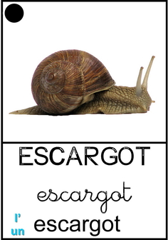 escargot2.jpg
