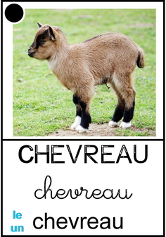 Chevreau.jpg