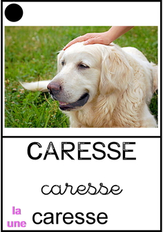 Caresse.jpg