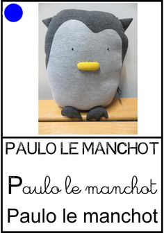 Paulo le manchot.jpg