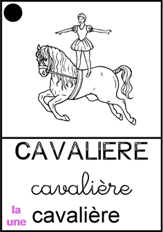 cavalière.jpg