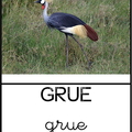 grue