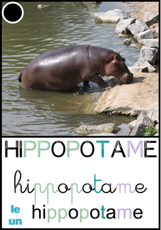 hippopotame - méthode CP piano.jpg
