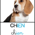chien-méthode Piano