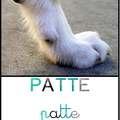 patte - méthode CP piano